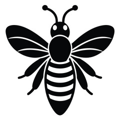 bee on white background