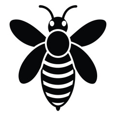 bee on white background