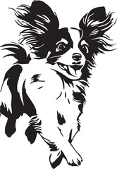 running papillon dog