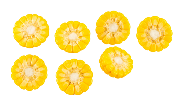 Slices of fresh yellow corn falling on transparent background