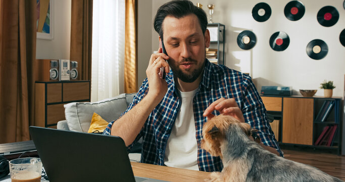 A brunet man with a beard who uses a wheelchair pets his dog while chatting with a friend or girlfriend on the phone, working from home and enjoying a calm and productive moment.