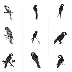 Group parrot vector design