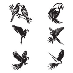 Group parrot vector design
