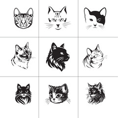Cat vector Group Image set