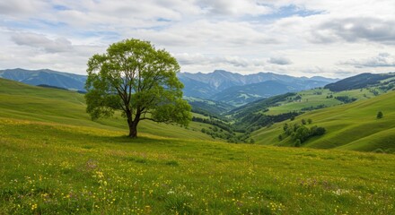 Green meadow with a tree and mountain range in the background for travel, nature, and landscape photography use cases