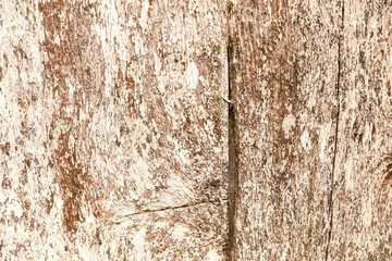 planken