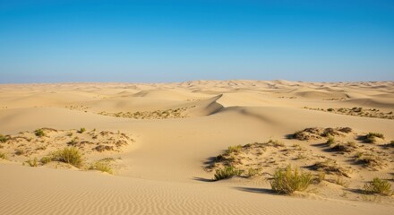 Vast Expanse of Golden Sand Dunes under a Clear Blue Sky A Stunning Desert Landscape