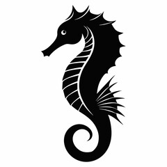 black and white horse