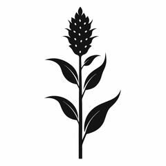 Fototapeta premium black and white flowers