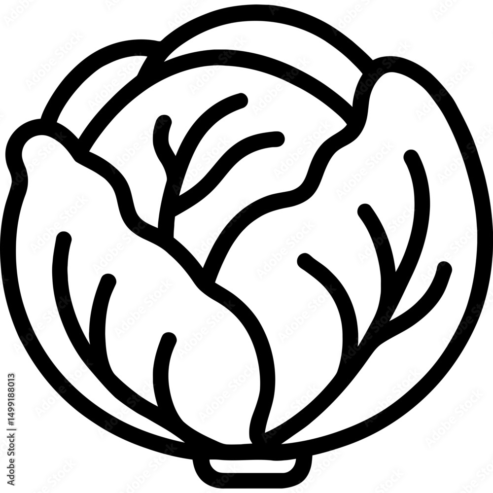 Poster clean vector outline of cabbage