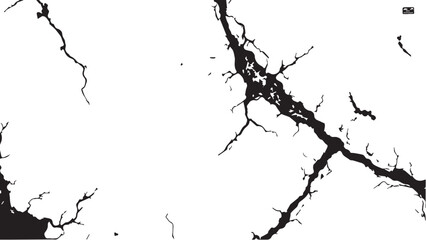Obraz premium Vector grunge cracked texture. Black cracks isolated on white background. Abstract cracked texture .