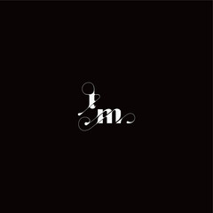 wedding typography initial monogram style and elegant concept TM organic hairline logo letter