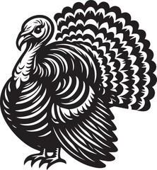 Black and White Turkey Bird Vector Illustration