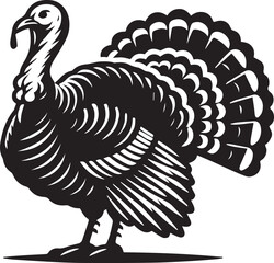 Black and White Turkey Bird Vector Illustration