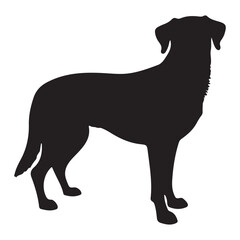 vector illustration of a black dog. vector EPS 10
