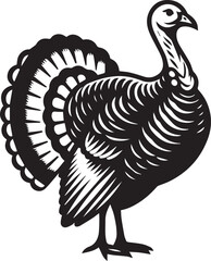 Black and White Turkey Bird Vector Illustration