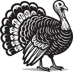 Black and White Turkey Bird Vector Illustration