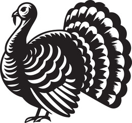 Black and White Turkey Bird Vector Illustration