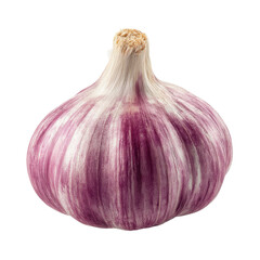 Single purple garlic bulb isolated transparent background fresh vegetable ingredient for cooking