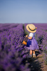 child is a girl in a lilac dress and handbag, a braided hat in a lavender field