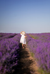 The child is a girl in a white dress and a hat in a lavender field. Provence, photo from the back