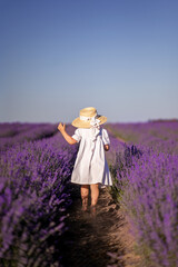 The child is a girl in a white dress and a hat in a lavender field. Provence, photo from the back
