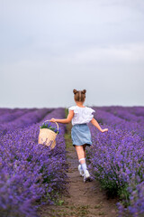 A girl with a basket runs in a lavender field. Feed from the back