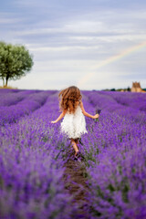 girl in a white dress runs through a field of lavender. Hair develops beautifully, view from the back, Provence