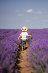A boy in a hat runs into a field of lavender. Provence