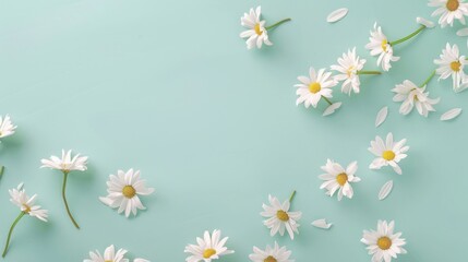 Top view of white daisies scattered gracefully on a soft mint green table, evoking a sense of purity and freshness.
