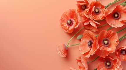Vibrant orange poppies neatly arranged on a soft coral table, with plenty of room for celebratory wishes or text.