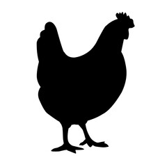 Chicken Silhouette Illustration