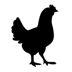 Chicken Silhouette Illustration