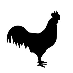 Chicken Silhouette Illustration