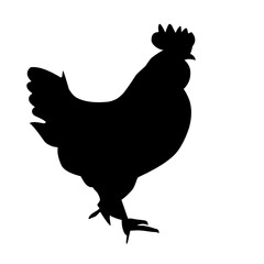 Chicken Silhouette Illustration