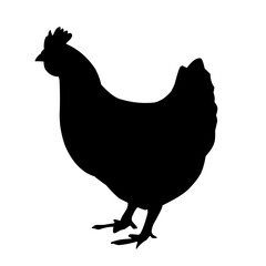 Chicken Silhouette Illustration