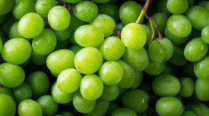 Close up of fresh green grapes in bunches with natural texture and vibrant color in healthy fruit background