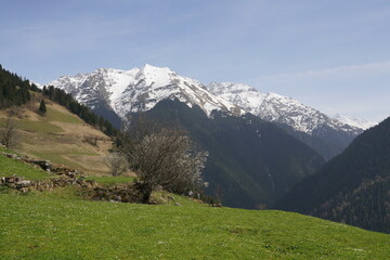 Panoramic summer mountain landscape with green grass and trees, under a blue sky with clouds