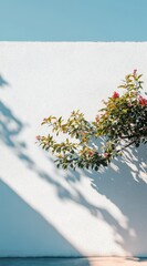 Sunlit blossoms cast shadows on a stark white wall, creating a minimalist yet vibrant contrast against a clear blue sky