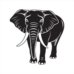 Fototapeta premium Jumbo elephant silhouette vector