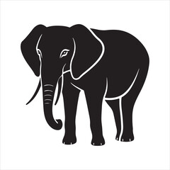 Obraz premium Jumbo elephant silhouette vector
