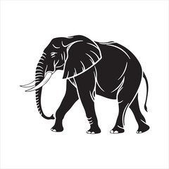 Obraz premium Jumbo elephant silhouette vector