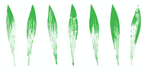 Natural leaves imprint, Grunge style, Vector, Isolated, Decorative elements for design	