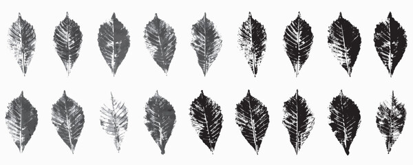 Natural leaves imprint, Grunge style, Vector, Isolated, Decorative elements for design	