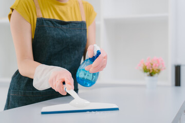 Woman Cleaning Surface with Spray Bottle