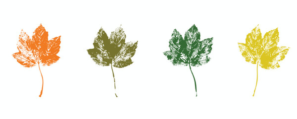 Natural leaves imprint, Grunge style, Vector, Isolated, Decorative elements for design	