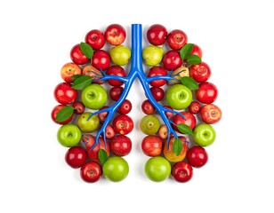Lungs concept composed of red and green apples with blue veins on a white background. Healthy eating or medical theme