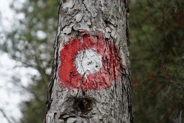 Hiking sign, Red dot hiking sign on a tree. Red circle with a white dot. Direction sign of hiking trail.