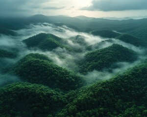 Lush green hills disappear into the fog under a cloudy, gray sky. Use this for nature, travel, or environment related project.