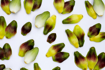 Artichoke petals on white background.